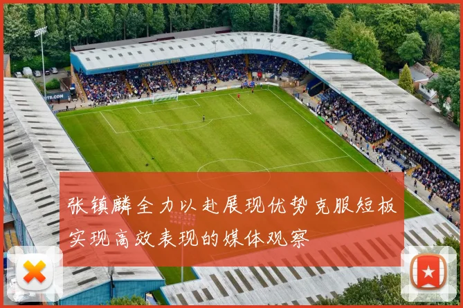 张镇麟全力以赴展现优势克服短板实现高效表现的媒体观察
