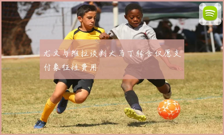 尤文与维拉谈判大马丁转会仅愿支付象征性费用